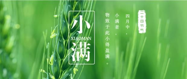 06ed04fd8fab4d2c842fc8088b53822a